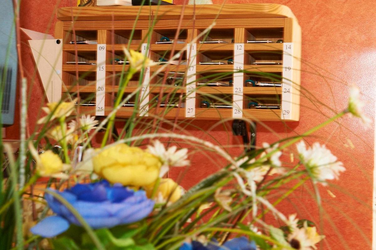 Hotel Le Relais Fleurance エクステリア 写真